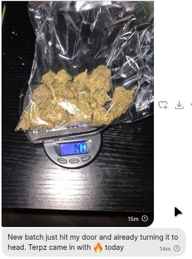 Customer Review