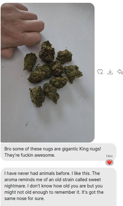Customer Review