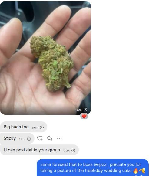 Customer Review