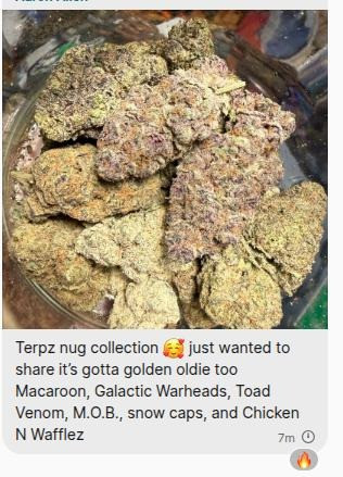 Customer Review